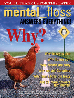 Find out why the chicken crossed the road, and perhaps pick up a cool t-shirt, too, at Mental Floss!