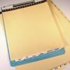 Dataindex, 14 7/8 inch x 11 inch SKU:45141